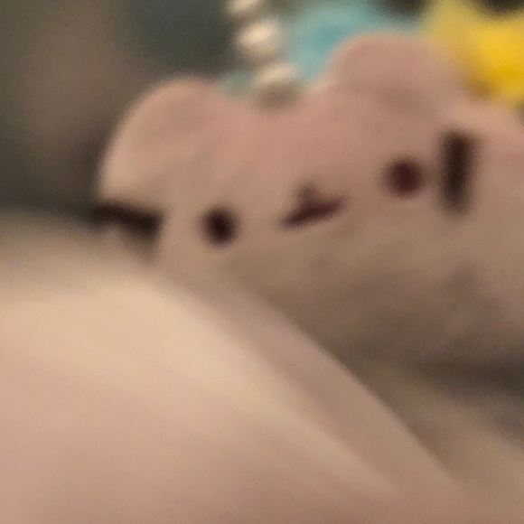 Pusheen Plush - Picture 4 of 5